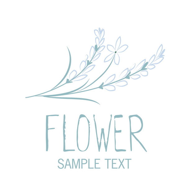 Vari fiori e foglie che formano un bouquet su sfondo bianco
 - Vettoriali, immagini