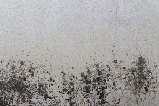 Textura de pared gastada con moho y humedad
 - Foto, Imagen