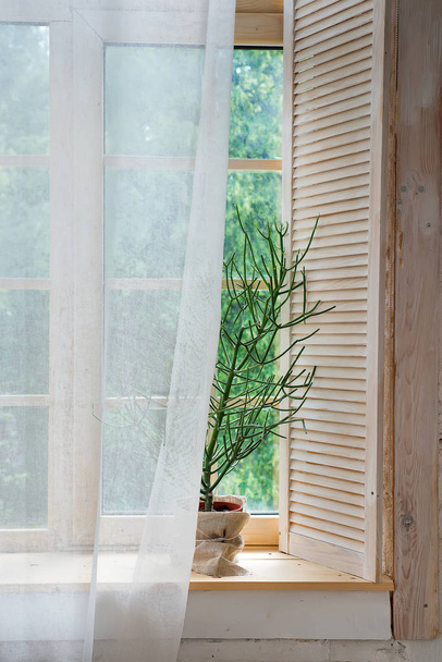 Ventanas de vidrio con cortinas blancas y flores en una maceta. ventana cortina sombra luz blanco
 - Foto, Imagen