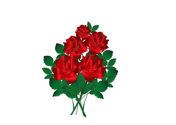 Bouquet de Rose rouge isolé sur fond blanc. Illustration vectorielle. Collectio de fleurs
 - Vecteur, image