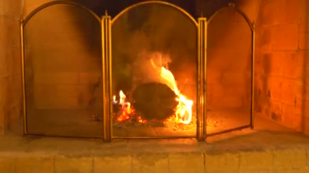 Nahaufnahme, 4k, Feuer und Rauch im Kamin durch ein Schutznetz für den Kamin. - Filmmaterial, Video