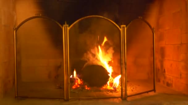 クローズ アップ、4 k、暖炉用保護メッシュを暖炉の煙と火. - 映像、動画