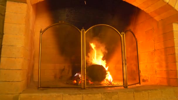 primer plano, 4k, fuego y humo en la chimenea a través de una malla protectora para la chimenea
. - Metraje, vídeo