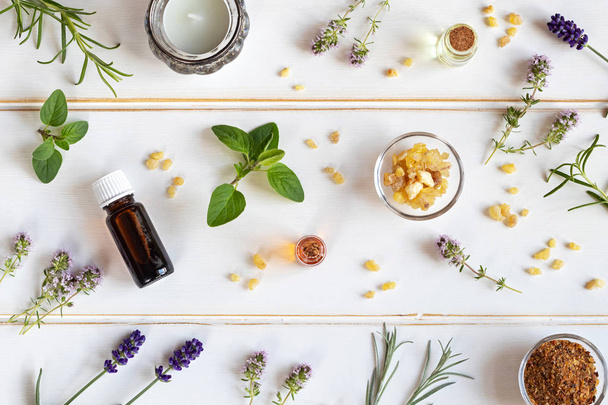 Bottles of essential oil with frankincense, oregano, lavender and other fresh herbs on a white background - Photo, Image