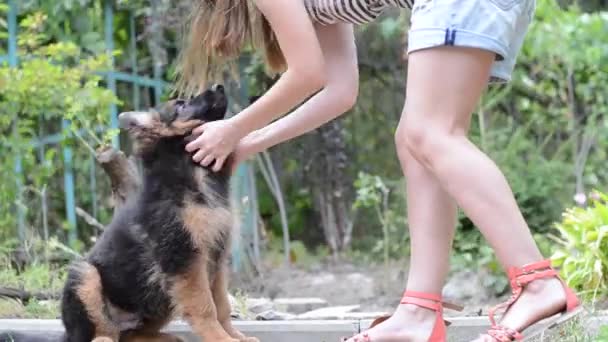 Girl and pet. Young woman training a german shepherd puppy in the garden. - Video, Çekim
