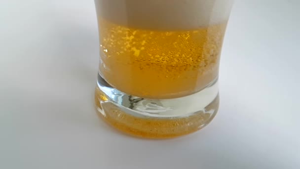 beer is poured into a glass on a white background a slow-motion shot - Video