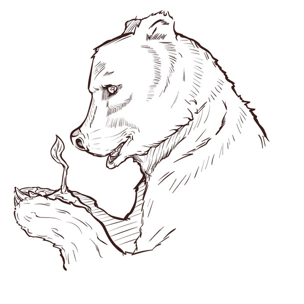 αρκούδα και βλαστάρι - Διάνυσμα, εικόνα