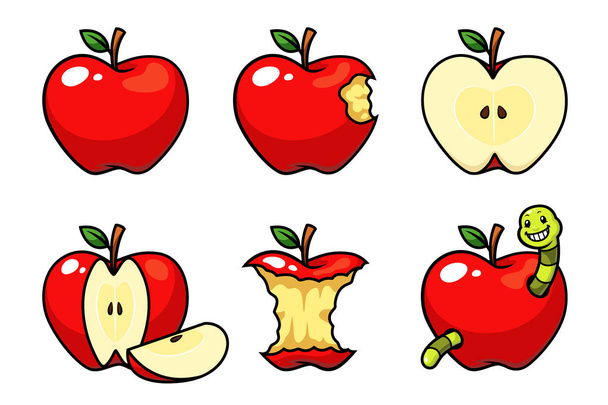 Illustration des Apfelfruchtvektors - Vektor, Bild