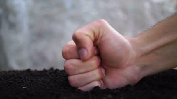 Kampf gegen die Gartenarbeit. Zerstörung des Ökosystems. - Filmmaterial, Video