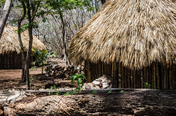 Antica costruzione realizzata in legno dai nativi della zona maya del Messico
 - Foto, immagini