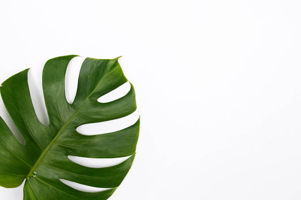 Tropical palm leaf on white background. Flat lay, top view. Summer background. - Photo, Image