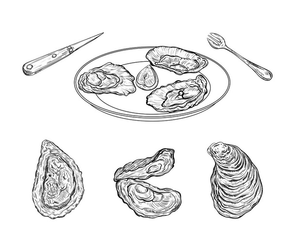 Schotel met oesters en bestek. Gegraveerde stijl. Geïsoleerd op een witte achtergrond. Vectorillustratie  - Vector, afbeelding