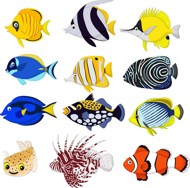 Cartoon tropical fish collection set - Vector, Image
