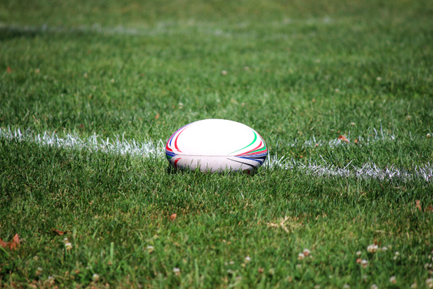 balle de rugby sur le terrain vert
 - Photo, image