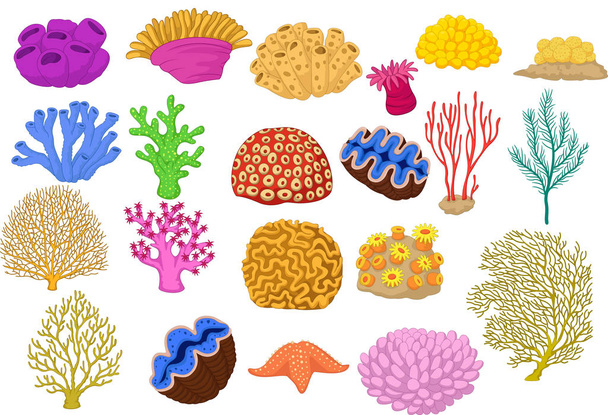 Set of colorful corals, clamp and starfish - Vector, Image