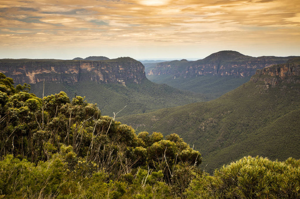 view of Blue Mountains in Australia on sunset background - Φωτογραφία, εικόνα