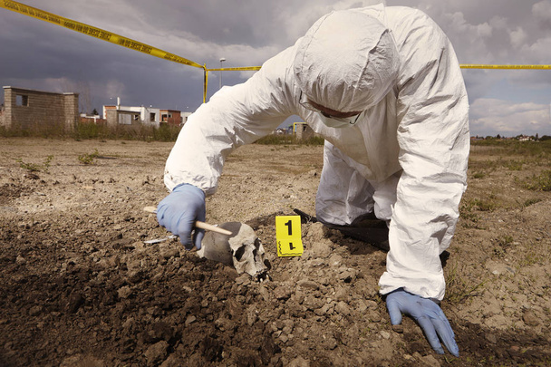 Uncovering of human skull found on plain construction yard during work - Photo, image