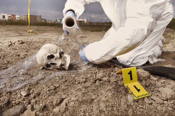 Police technician packing human skull found on plain construction yard during work - Foto, afbeelding