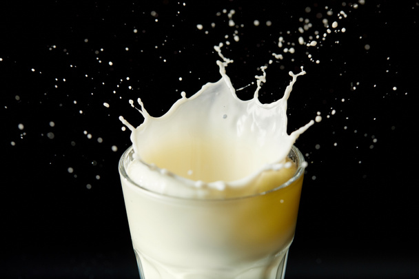 πιτσίλισμα σταγόνες γάλακτος από γυαλί που απομονώνονται σε μαύρο φόντο  - Φωτογραφία, εικόνα
