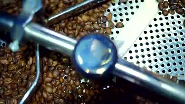 Ψύξη κόκκων καφέ μετά το ψήσιμο. Μηχανή ψησίματος, κοντινό πλάνο - Πλάνα, βίντεο