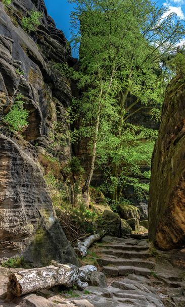 Plateau, kloven, wandelweg en rotsen op en op de Pfaff steen in het Elbsandsteingebergte in Saksen - Foto, afbeelding