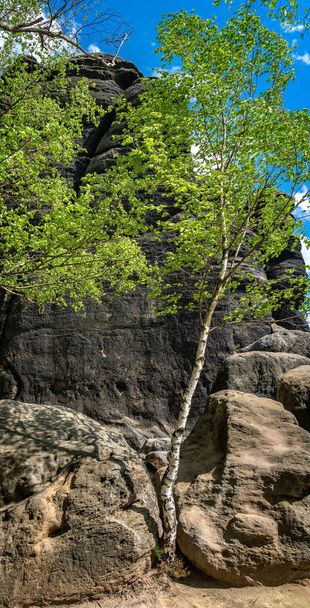 Planalto, desfiladeiros, trilhas para caminhadas e rochas na pedra de Pfaff, nas montanhas de arenito do Elba, na Saxônia
 - Foto, Imagem