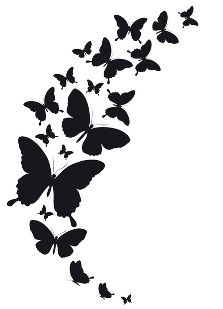 Векторная иллюстрация черных бабочек на белом фоне
 - Вектор,изображение