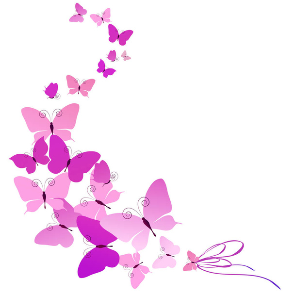 Colorful vector illustration of beautiful pink butterflies isolated on white background - Vettoriali, immagini
