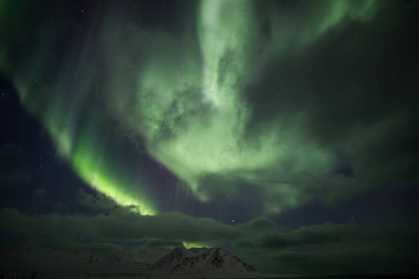 Northern lights above the cloudy night sky  - Фото, зображення