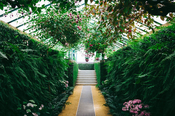 The Royal Greenhouses of Laeken in Brussels. - Foto, Imagem