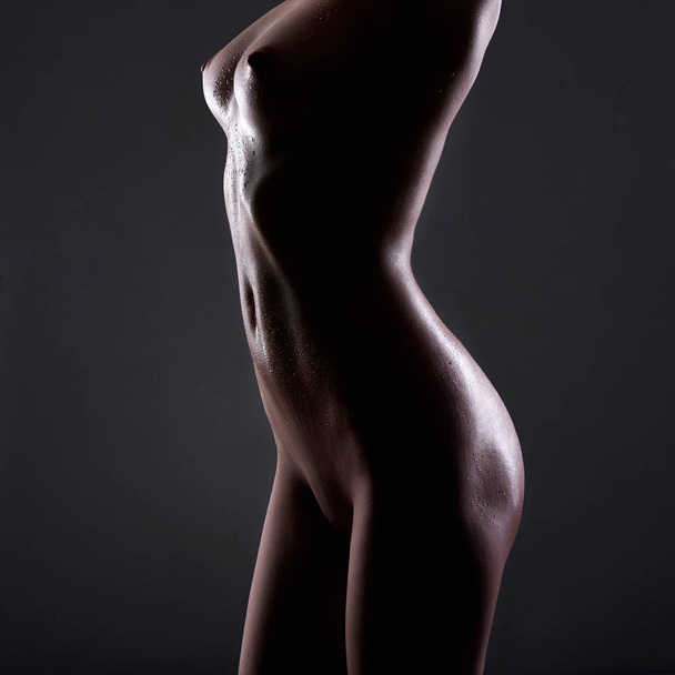 Nude Woman silhouette. Beautiful Sexy Naked Body Girl - Foto, afbeelding