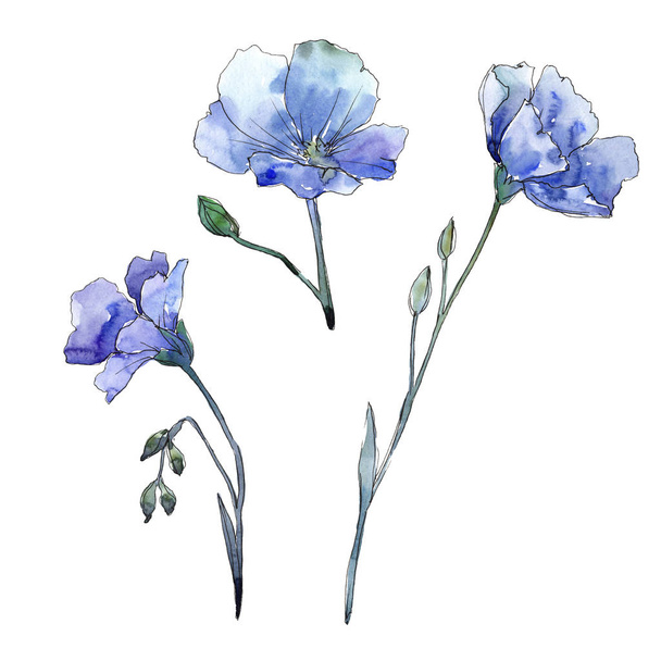 Blue flax. Floral botanical flower. Wild spring leaf wildflower isolated. Aquarelle wildflower for background, texture, wrapper pattern, frame or border. - Photo, Image
