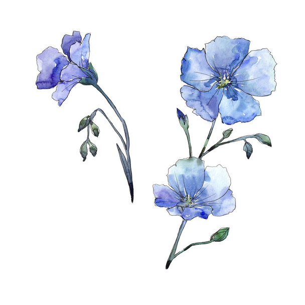 Блакитний льон. Квіткова ботанічна квітка. Дикий весняний лист дикої квітки ізольований
. - Фото, зображення