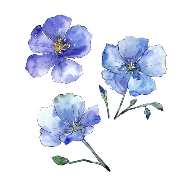 青い亜麻。花植物の花。分離した野生春葉ワイルドフラワー. - 写真・画像