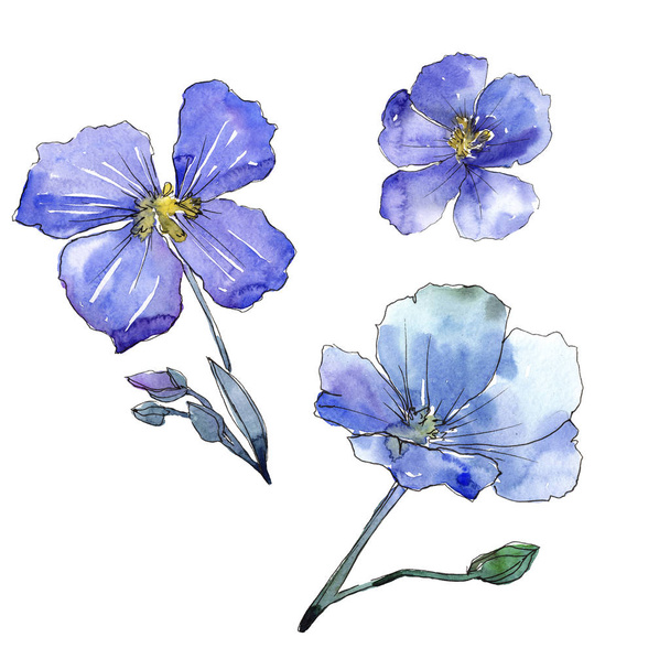 青い亜麻。花植物の花。分離した野生春葉ワイルドフラワー. - 写真・画像