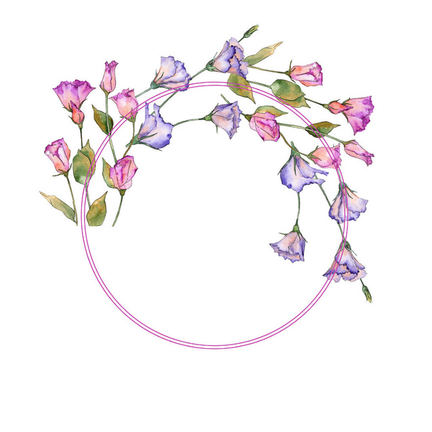 Pink and purple eustoma. Floral botanical flower. Wild spring leaf wildflower frame. - 写真・画像