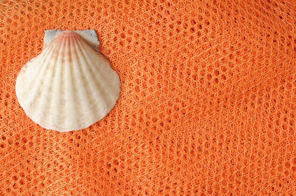 Summer minimalist background, seashell  on orange net from above, with room for text - Fotó, kép