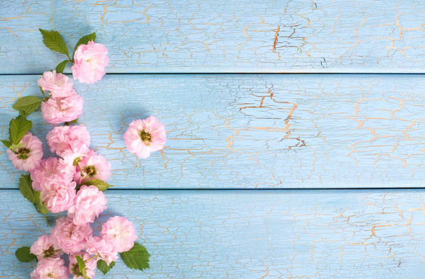 Cherry sakura blossom over textured blue wooden table background - Foto, afbeelding