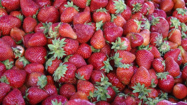 Fresh strawberries in trays close-up background - Photo, Image