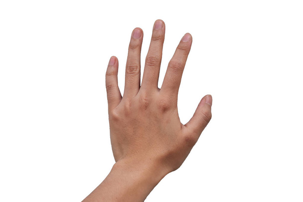 Isolated lightly tanned skin left back hand of asian is on white background. - Photo, Image