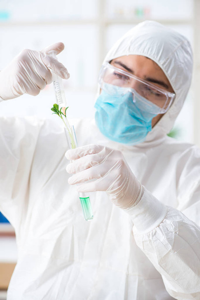 Male biochemist working in the lab on plants - Fotografie, Obrázek
