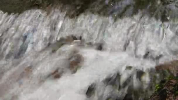 Berg rivier water stroomt op de stenen. Bos. Splatter. - Video