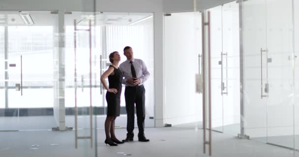 Compañeros de negocios mirando el nuevo espacio de oficina
 - Metraje, vídeo