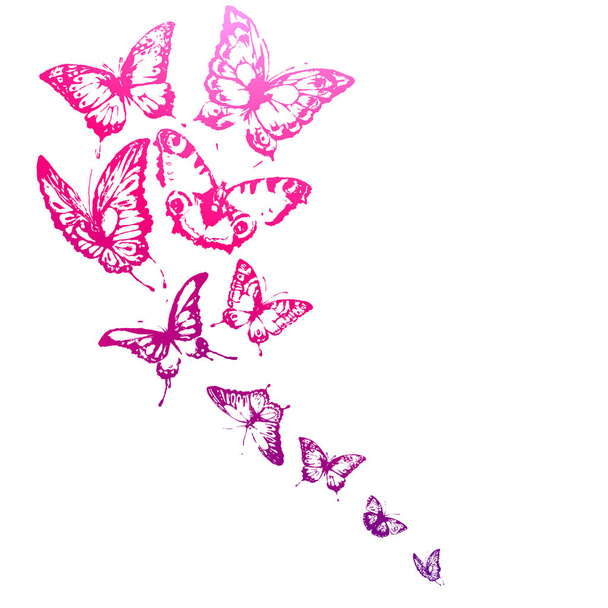 post kaart met set roze vliegen vlinders geïsoleerd op een witte achtergrond, vector illustratie - Vector, afbeelding