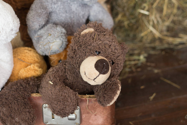 М'який іграшковий ведмідь. Дитяча іграшка
 - Фото, зображення