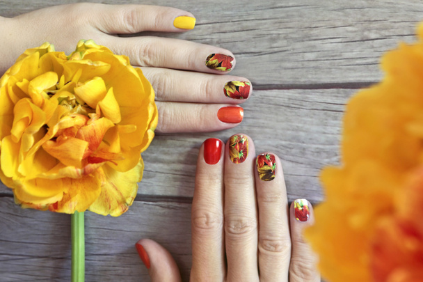 Manicure laranja amarelo vermelho colorido com um design de tulipas deslizantes em uma mão feminina
. - Foto, Imagem