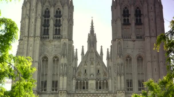 Kathedraal van de Heilige Michaël in Brussel, België - Video