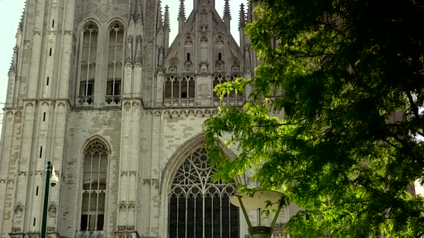 Kathedraal van de Heilige Michaël in Brussel, België - Video