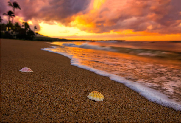 Χαβάης ηλιοβασίλεμα με την παραλία - Φωτογραφία, εικόνα