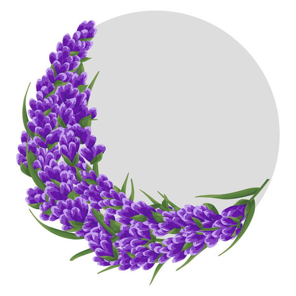 background of purple lavender flowers, watercolor flowers style. elegant flowers. vector illustration - Vecteur, image